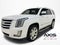 2016 Cadillac Escalade Luxury Collection