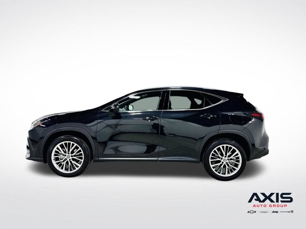 2024 Lexus NX 350 Luxury