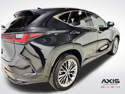 2024 Lexus NX 350 Luxury