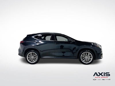 2024 Lexus NX 350 Luxury