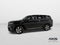 2024 Honda Pilot EX-L 7 Passenger
