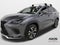 2019 Lexus NX 300 F SPORT