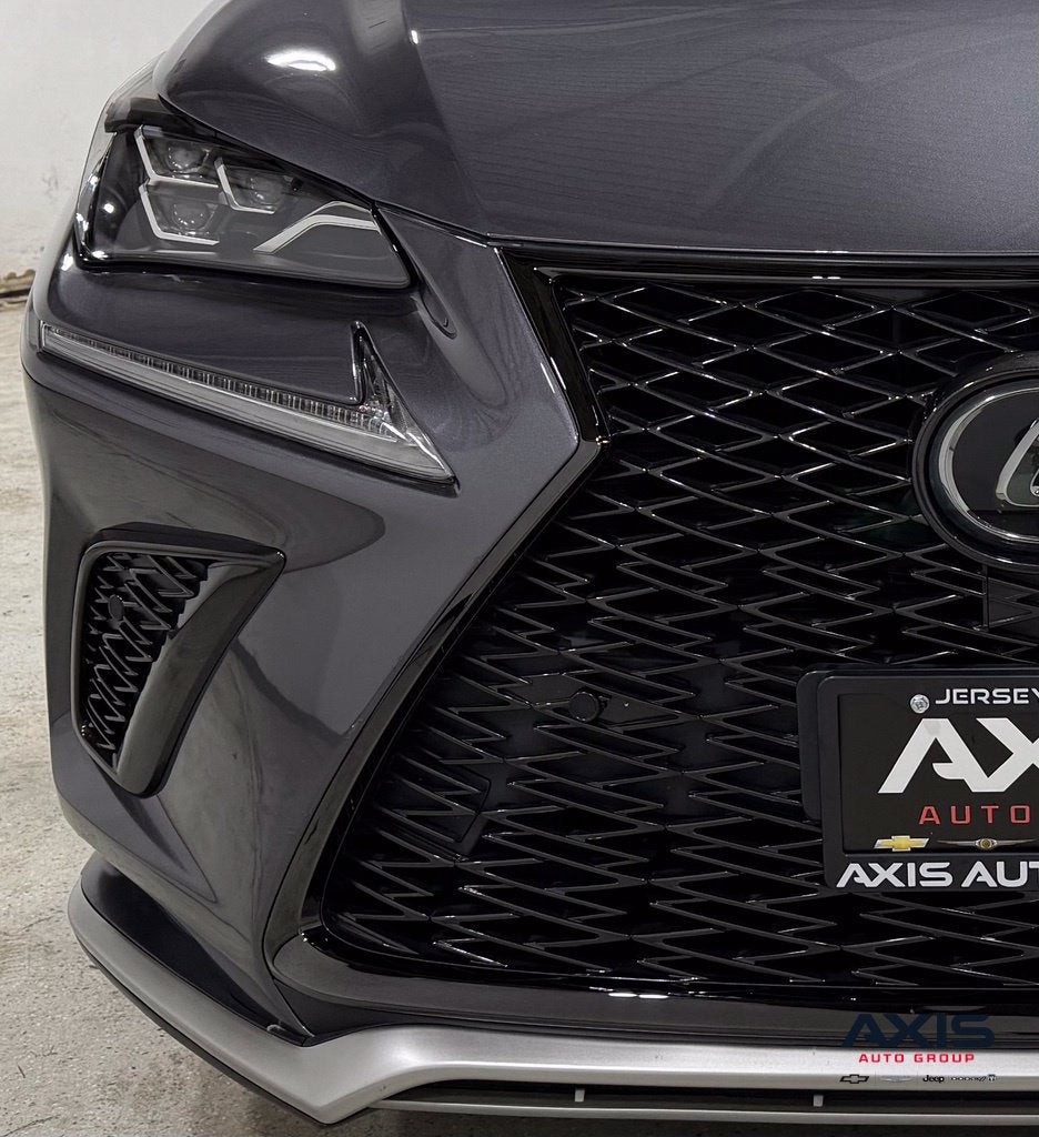 2019 Lexus NX 300 F SPORT