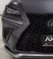 2019 Lexus NX 300 F SPORT