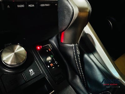 2019 Lexus NX 300 NX 300