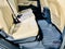 2021 Audi Q7 Premium Plus 45 TFSI quattro Tiptronic