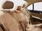 2013 Mercedes-Benz C-Class C 300 Sport